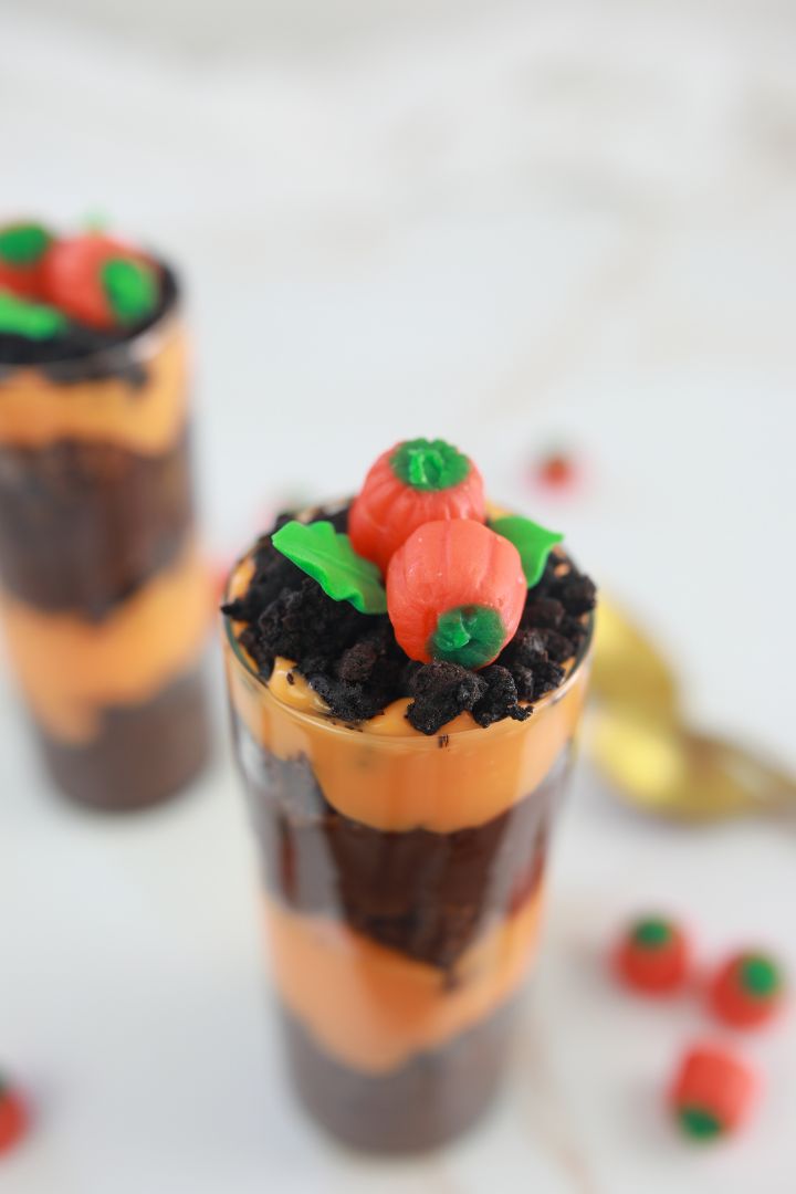 Pumpkin Patch Parfait - includes YouTube Video and Reel