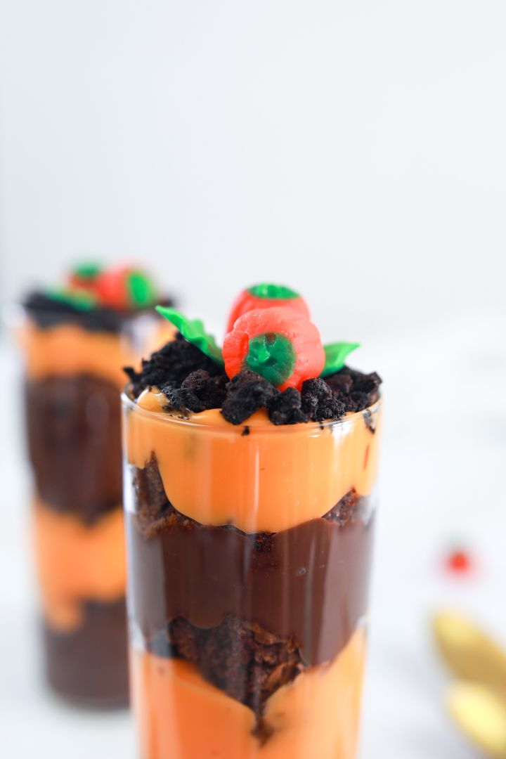 Pumpkin Patch Parfait - includes YouTube Video and Reel